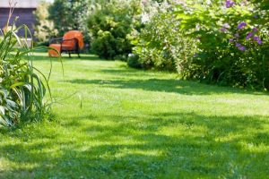 travaux jardin et paysage Ascou